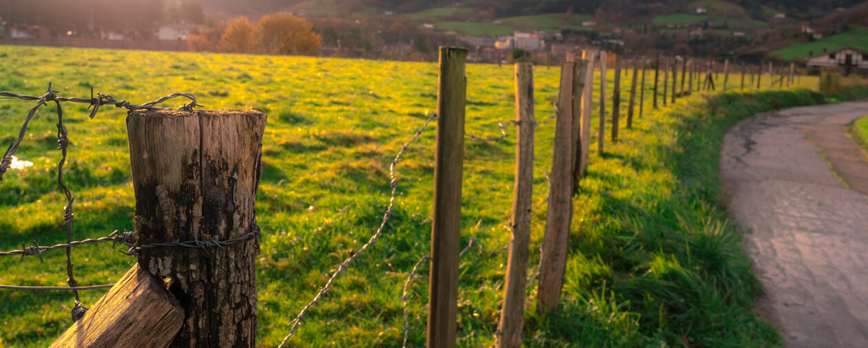 Old wooden pole of wire fence on blur green grass field, city in